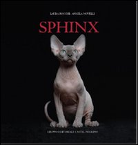 Sphynx