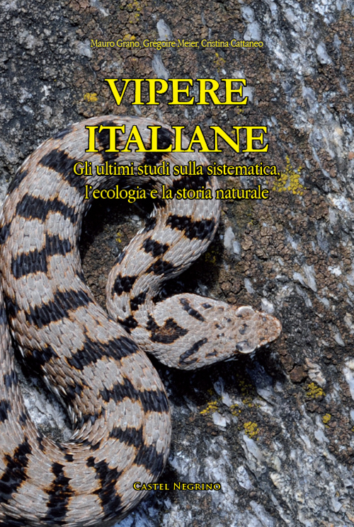 Vipere Italiane. Gli ultimi studi sulla sistematica, l'ecologia e la storia naturale
