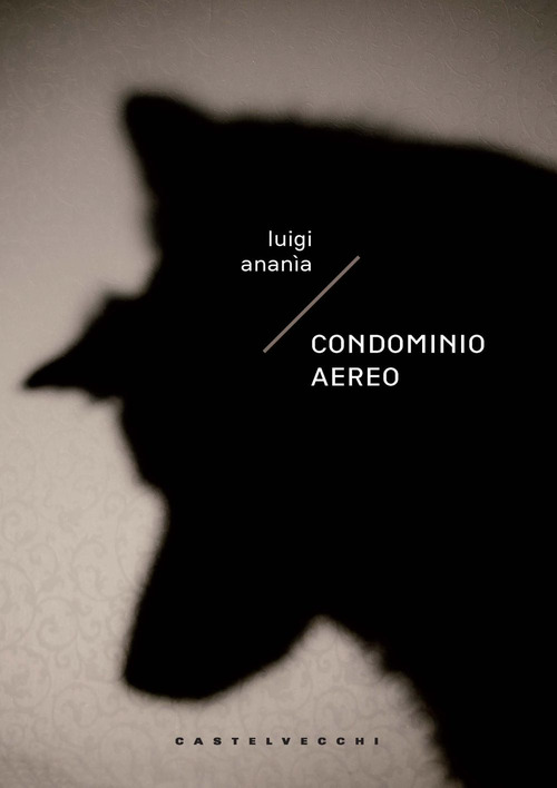 Condominio aereo
