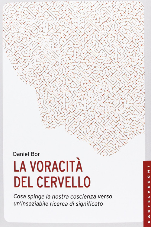 La voracit&agrave; del cervello. Cosa spinge la nostra coscienza verso un'insaziabile ricerca del significato