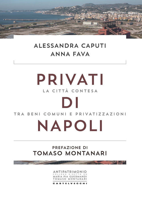 Privati di Napoli. La citt&agrave; contesa tra beni comuni e privatizzazioni