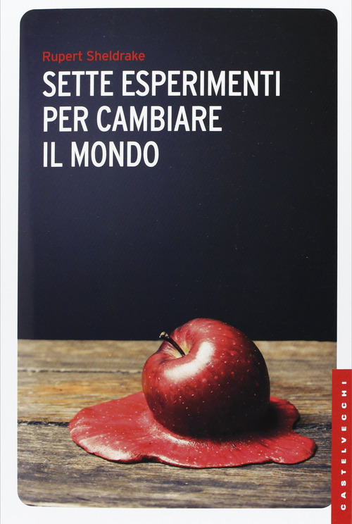 Photo gallery principale