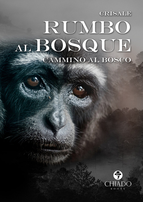 Rumbo al bosque. Cammino al bosco
