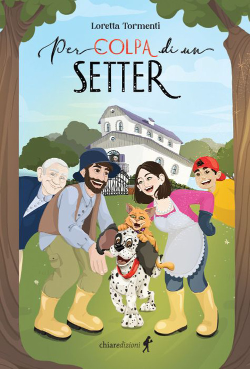 Per colpa di un setter