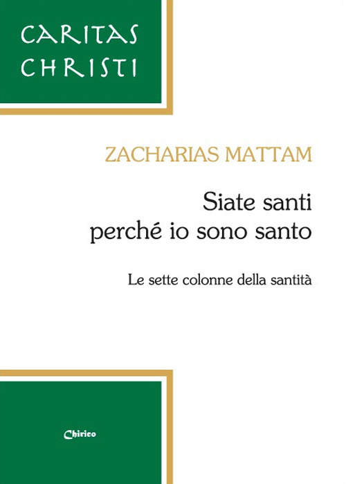 Siate santi perché io sono santo. Le sette colonne della santità