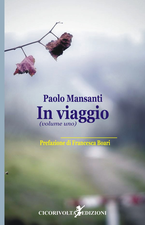 In viaggio