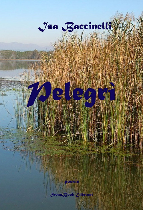 Photo gallery principale