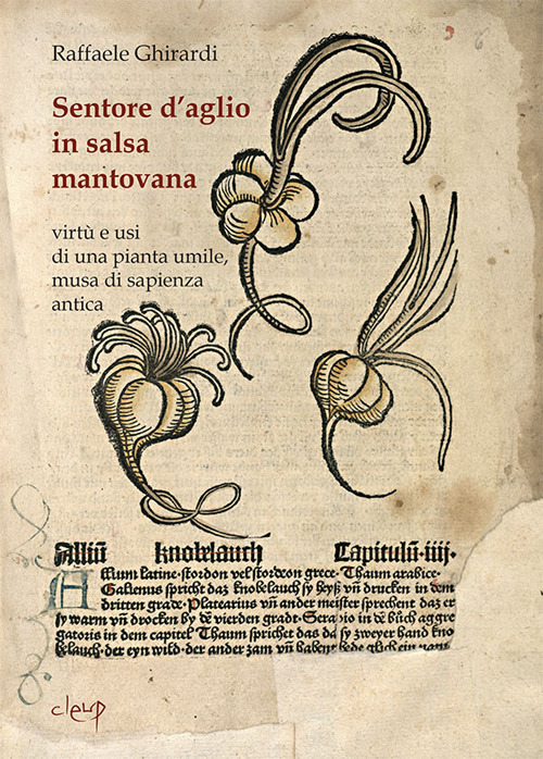 Sentore d'aglio in salsa mantovana. Virt&ugrave; e usi di una pianta umile, musa di sapienza antica