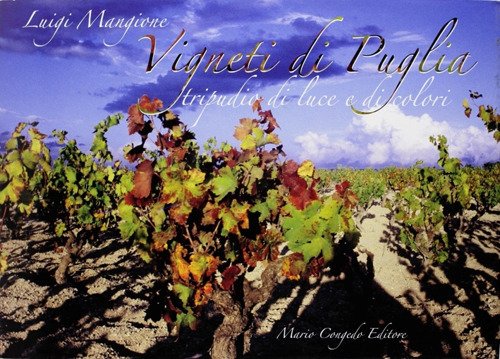 Vigneti di Puglia. Tripudio di luce e di colori