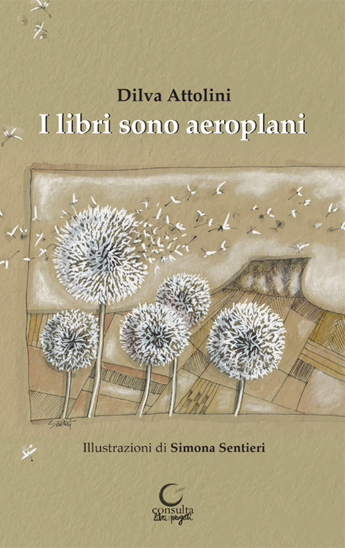 I libri sono aeroplani