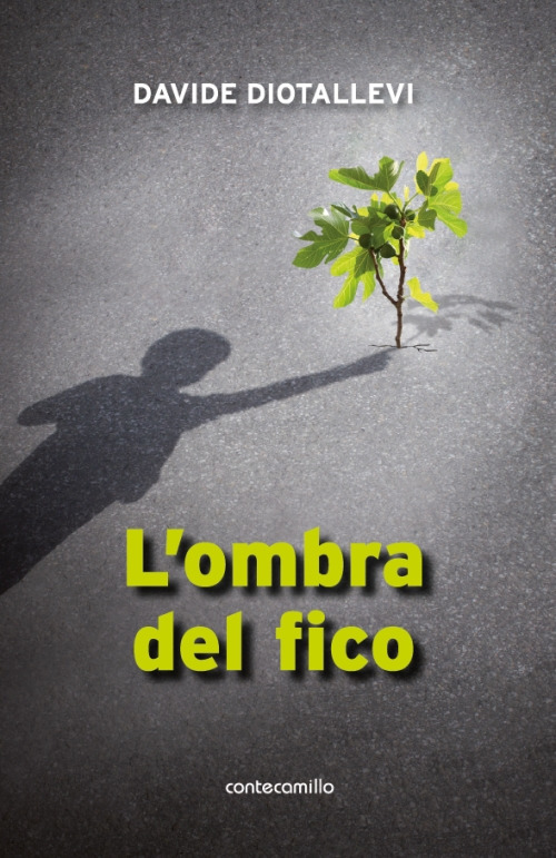 Photo gallery principale
