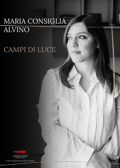 Campi di luce