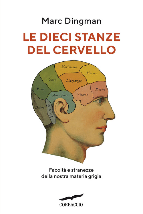 Le dieci stanze del cervello. Facolt&agrave; e stranezze della nostra materia grigia