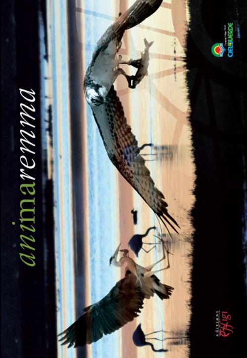 Photo gallery principale