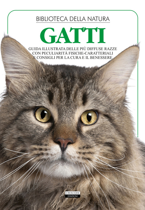 Gatti