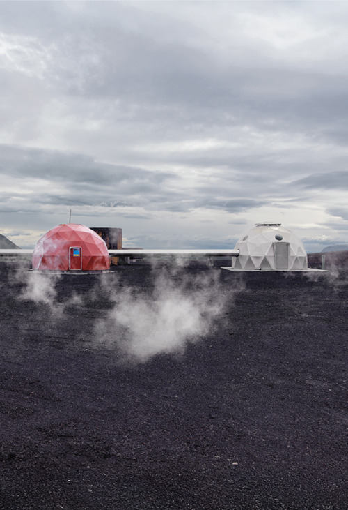 Net-Zero Transition. Ediz. italiana e inglese