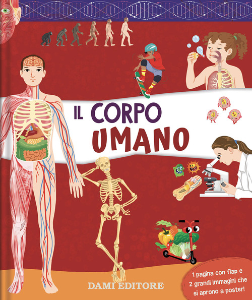 Il corpo umano