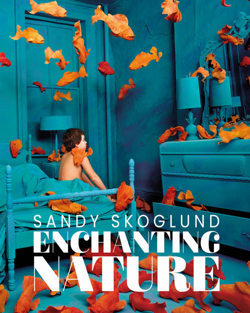 Photo gallery principale