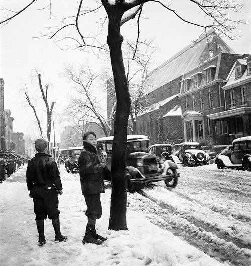 Photo gallery principale