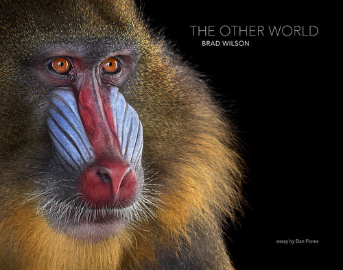 The other world. Animal portraits