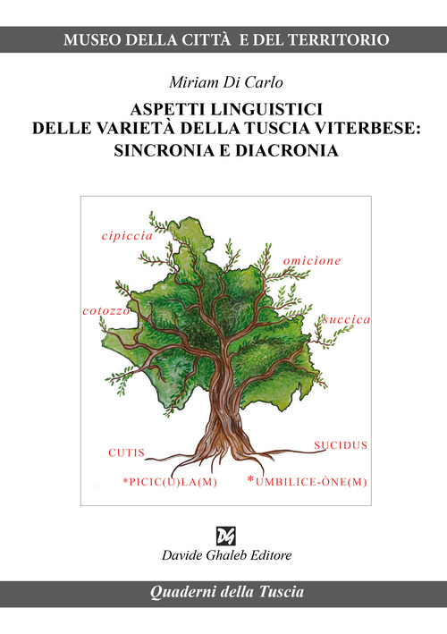 Aspetti linguistici delle variet&agrave; della Tuscia viterbese: sincronia e diacronia