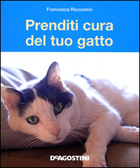 Prenditi cura del tuo gatto. Tutto ci&ograve; che dovete sapere