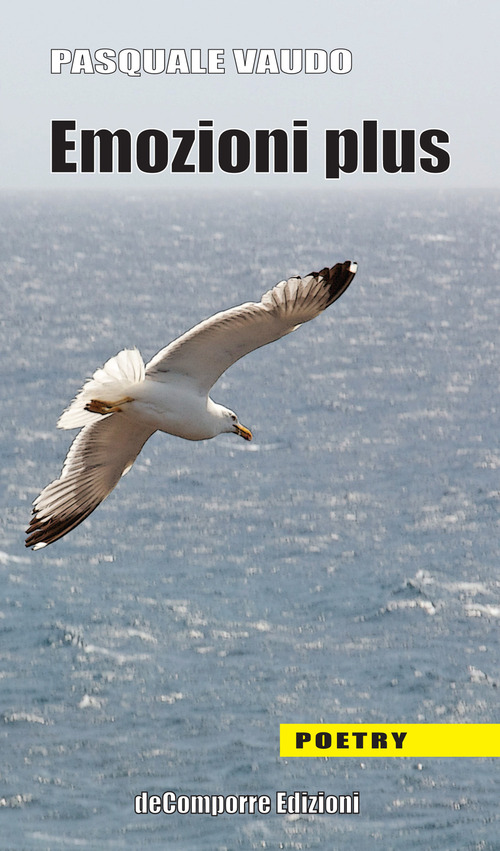 Photo gallery principale