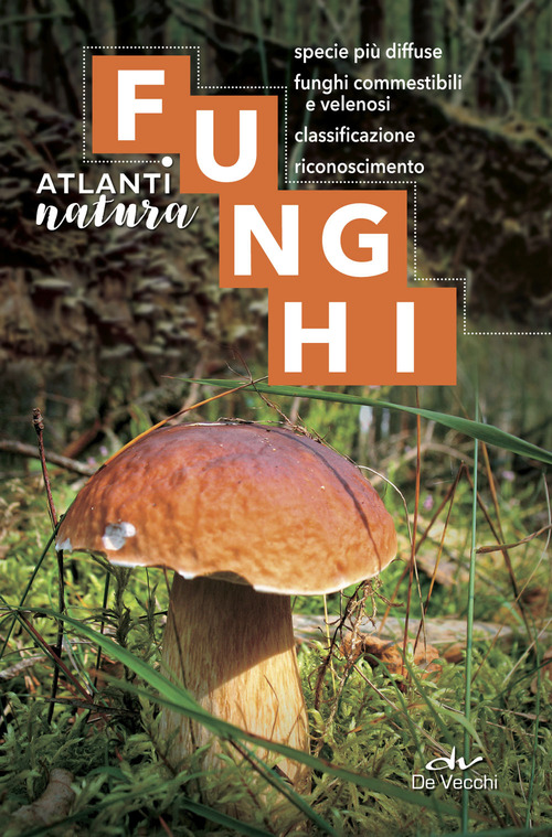 Funghi. Specie pi&ugrave; diffuse, funghi commestibili e velenosi, classificazione, riconoscimento