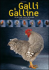 Galli e galline. Le pi&ugrave; belle specie del mondo