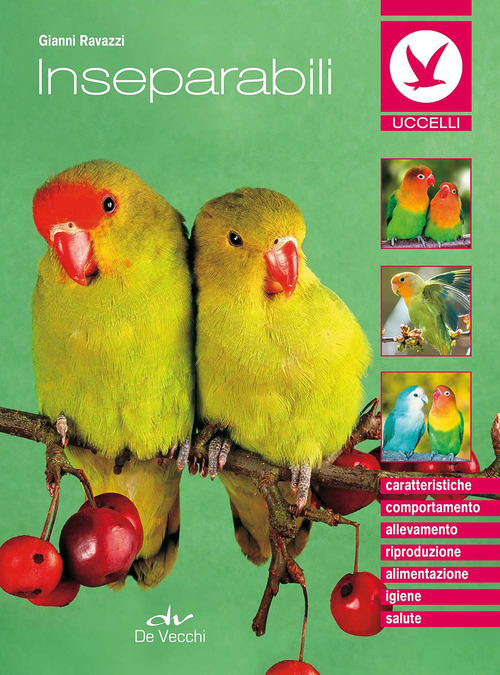 Photo gallery principale