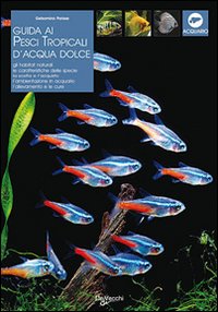 Guida ai pesci tropicali d'acqua dolce