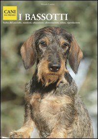 Photo gallery principale