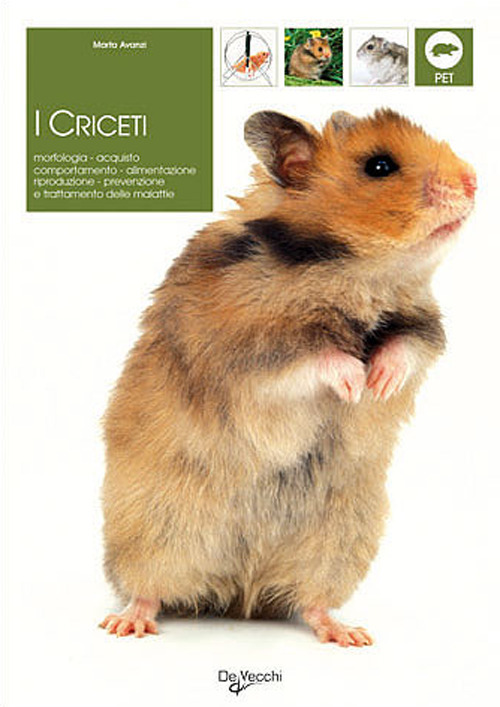 Photo gallery principale