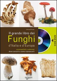 Photo gallery principale