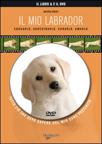 Il mio labrador