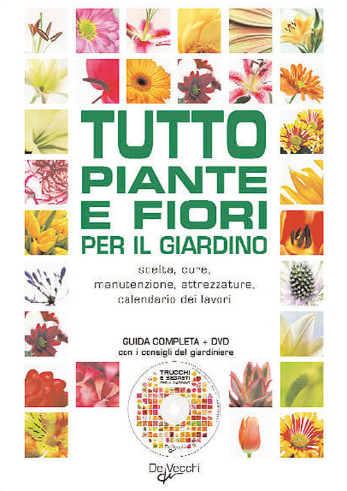 Photo gallery principale