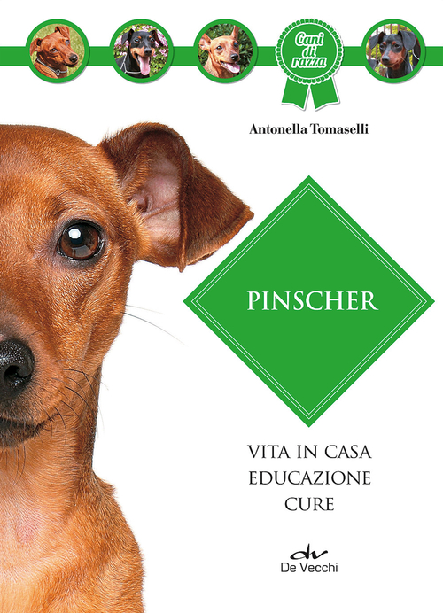 Pinscher