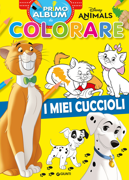 Photo gallery principale