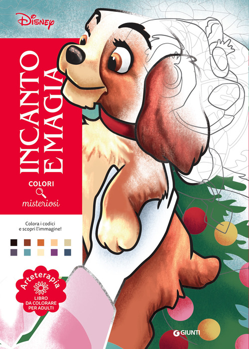 Incanto e magia. Disney. Colori misteriosi. Arteterapia. Libro da colorare per adulti