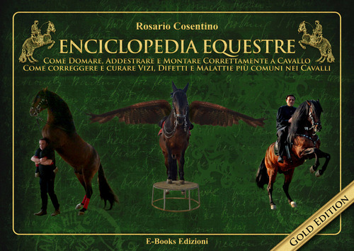 Enciclopedia equestre. Come domare, addestrare e montare correttamente a cavallo