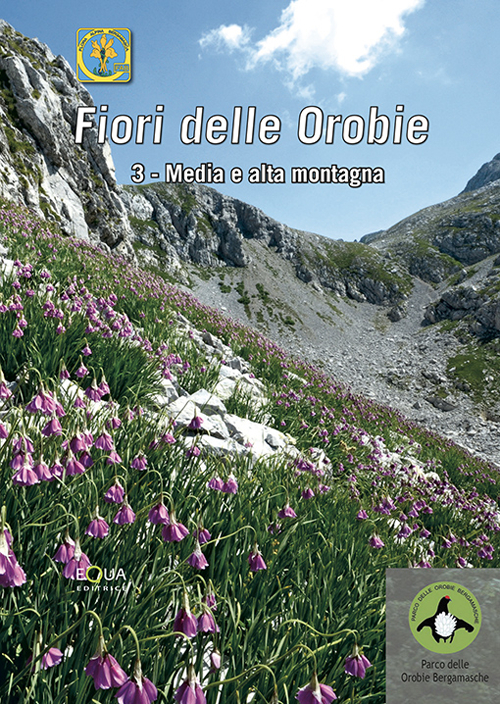 Fiori delle Orobie