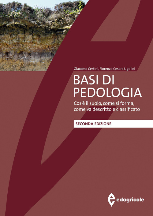 Basi di pedologia. Cos'è il suolo, come si forma, come va descritto e classificato