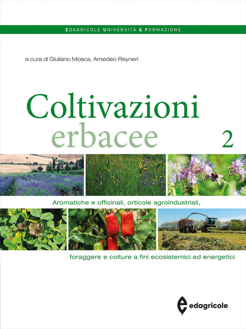 Coltivazioni erbacee