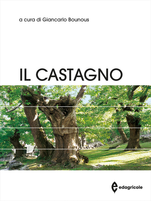 Il castagno