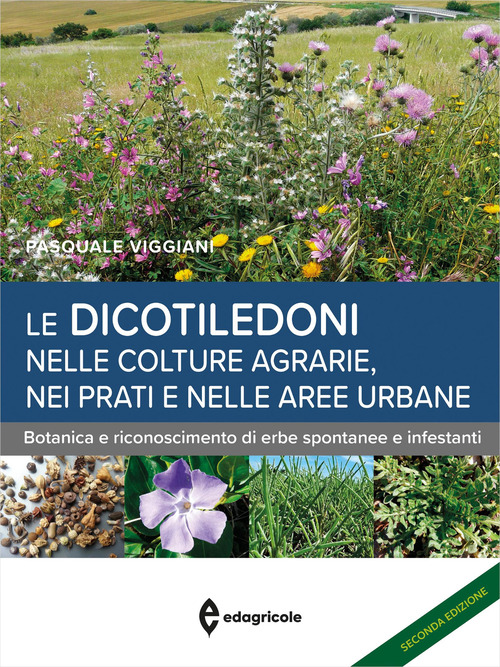 Le dicotiledoni nelle colture agrarie. Botanica e riconoscimento
