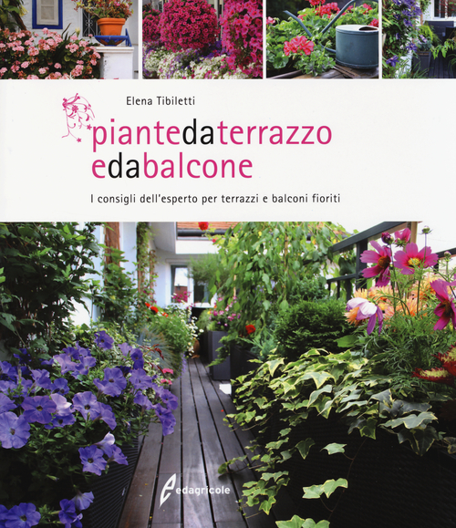 Photo gallery principale