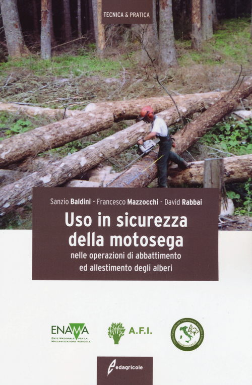 Uso in sicurezza della motosega nelle operazioni di abbattimento ed allestimento degli alberi