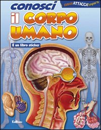Conosci il corpo umano