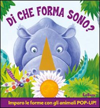 Di che forma sono?