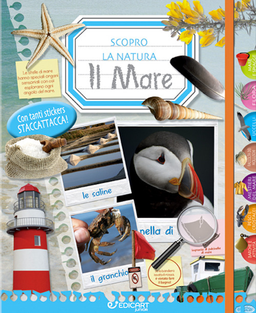 Photo gallery principale